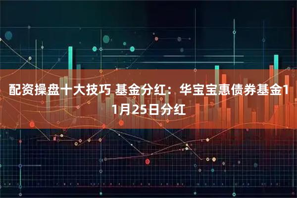 配资操盘十大技巧 基金分红：华宝宝惠债券基金11月25日分红